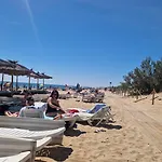 Life Carabassi Gran Alacant