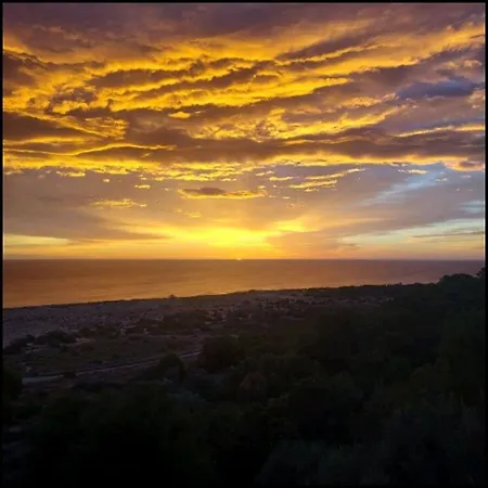 Life Carabassi Gran Alacant