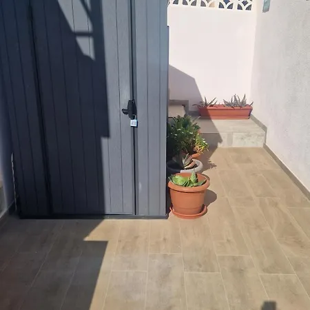 Life Carabassi Gran Alacant