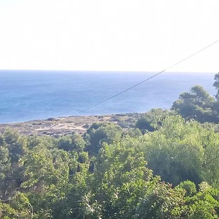 Life Carabassi * Gran Alacant