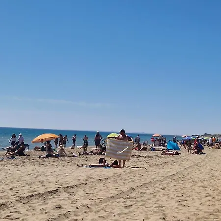 Life Carabassi Gran Alacant