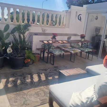 Life Carabassi Gran Alacant