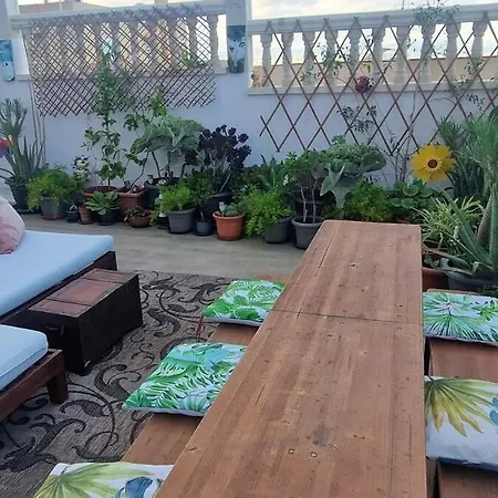 Life Carabassi * Gran Alacant