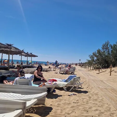 Life Carabassi Gran Alacant